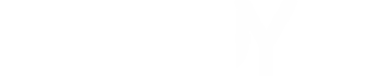 LEADYN AG