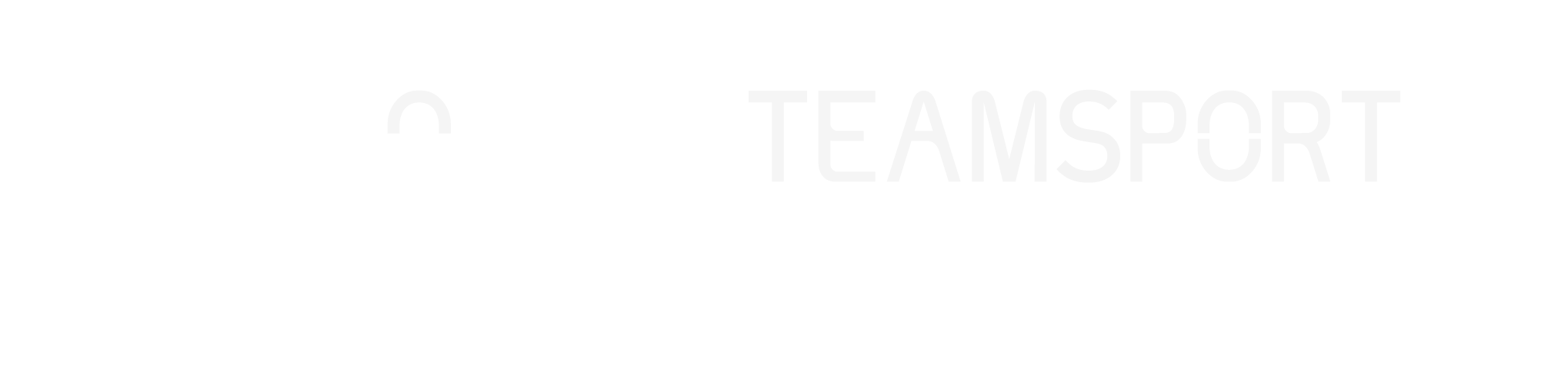 Absolute Teamsport